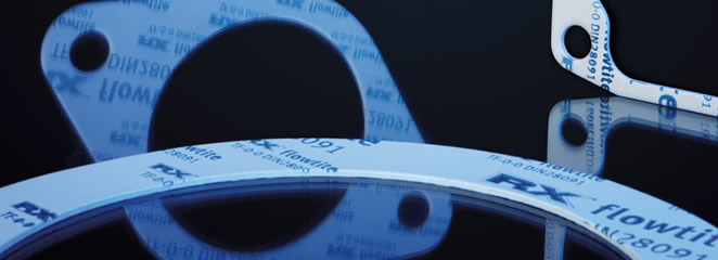 ERIKS - Flangegaskets - front